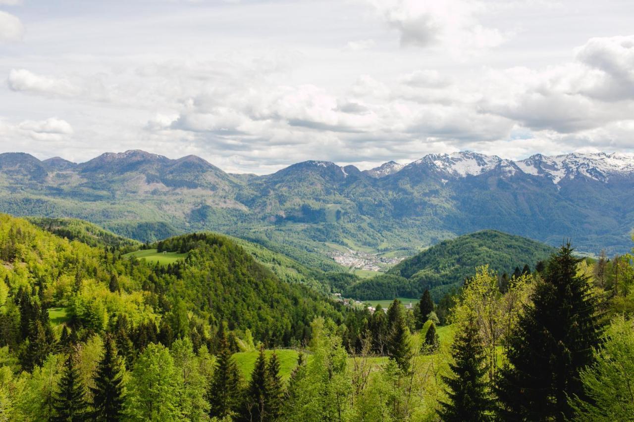 Wood House Irena-Pocitniska Hisa Βίλα Bohinj Εξωτερικό φωτογραφία