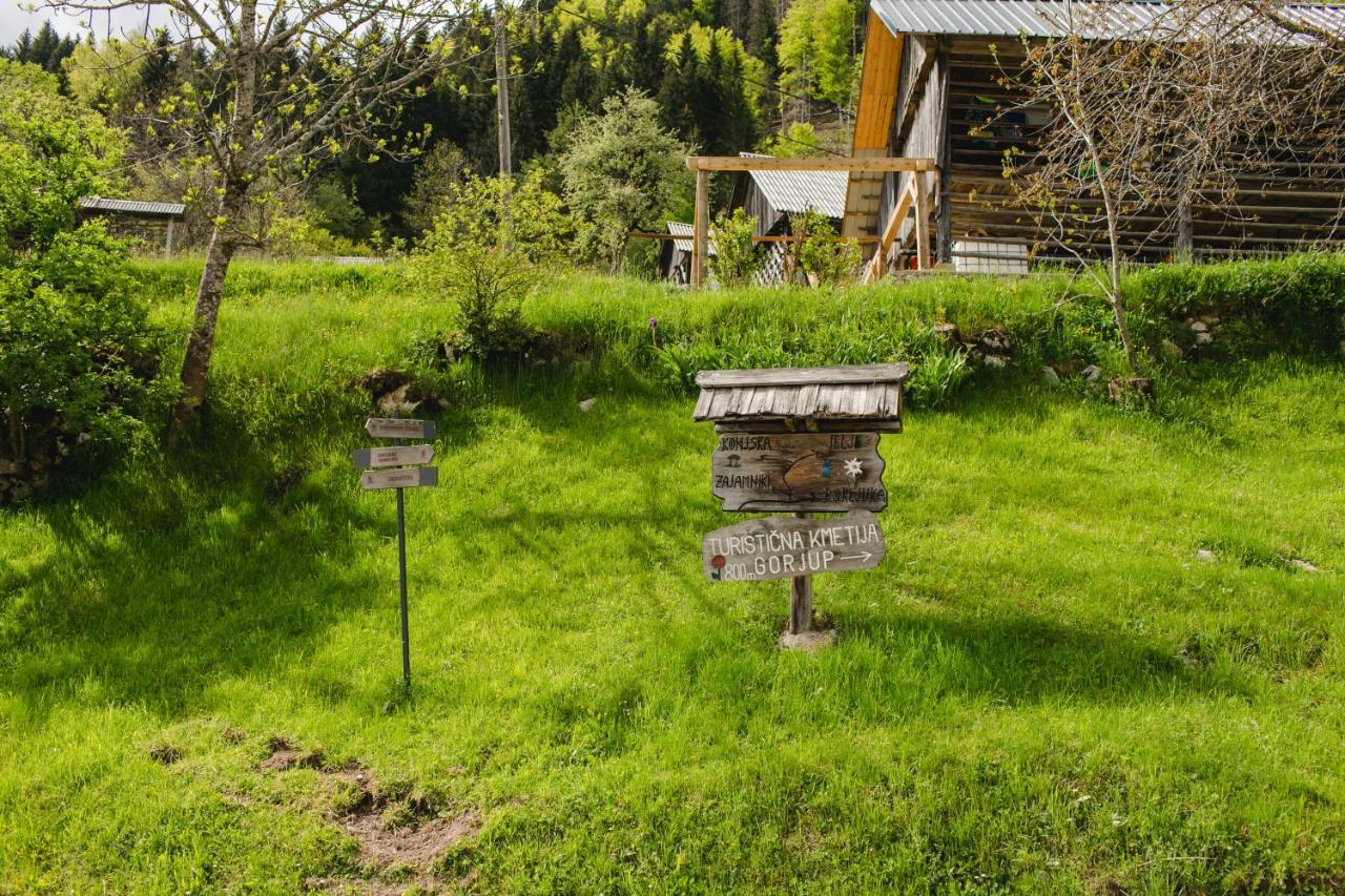 Wood House Irena-Pocitniska Hisa Βίλα Bohinj Εξωτερικό φωτογραφία
