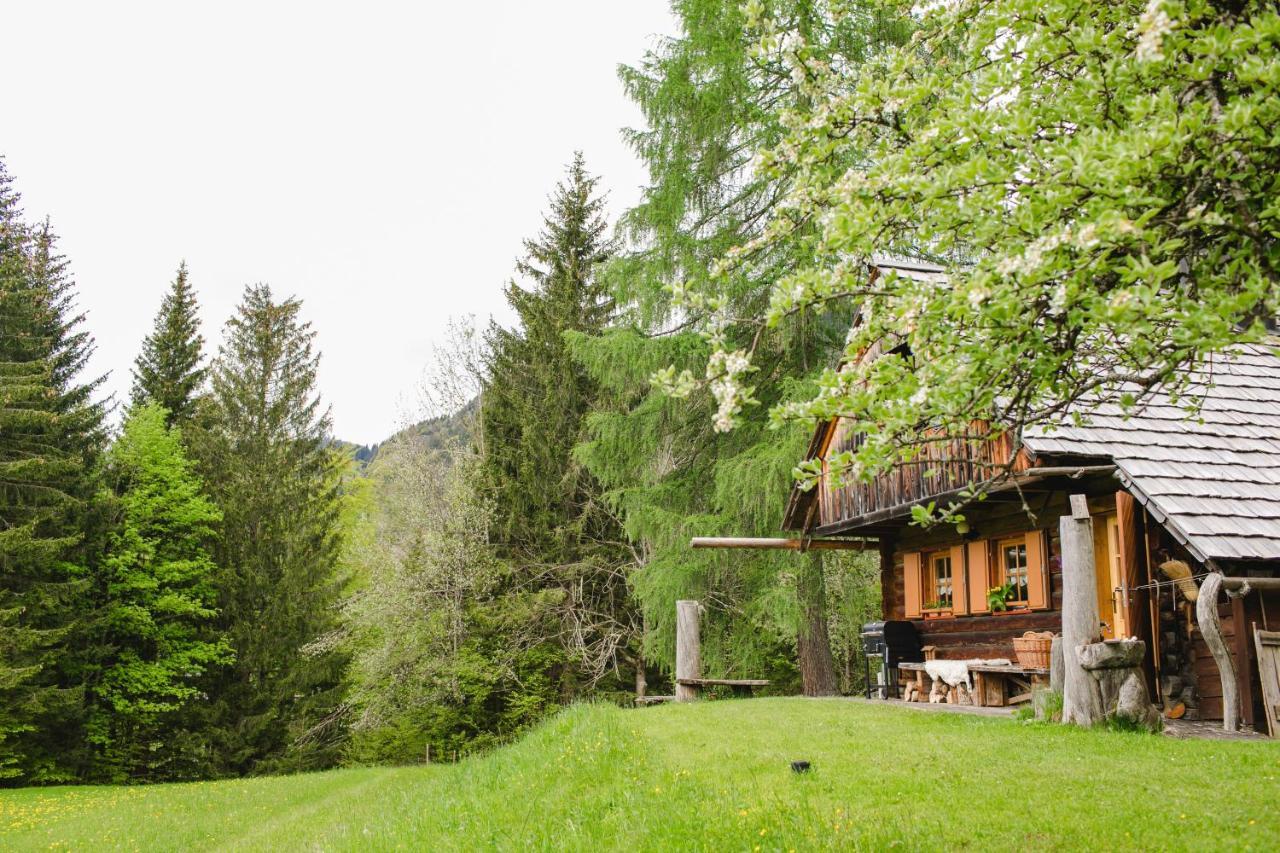 Wood House Irena-Pocitniska Hisa Βίλα Bohinj Εξωτερικό φωτογραφία